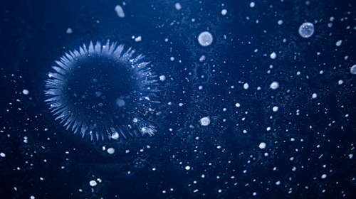 Product picture Fiberglass dust.