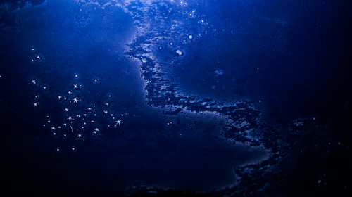 Product picture Fiberglass dust.