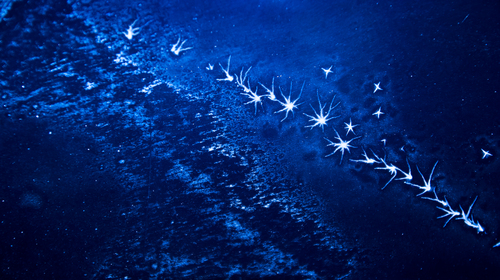 Product picture Fiberglass dust.