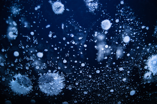 Product picture Fiberglass dust.