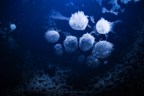 Product picture Fiberglass dust.