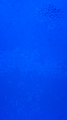 Product picture Winter glass.